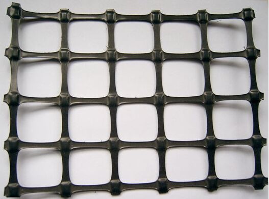 �p�������������